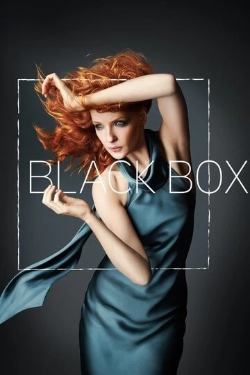 Чёрный ящик (Black Box)