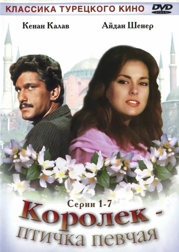 Королёк – птичка певчая (Çalıkuşu)